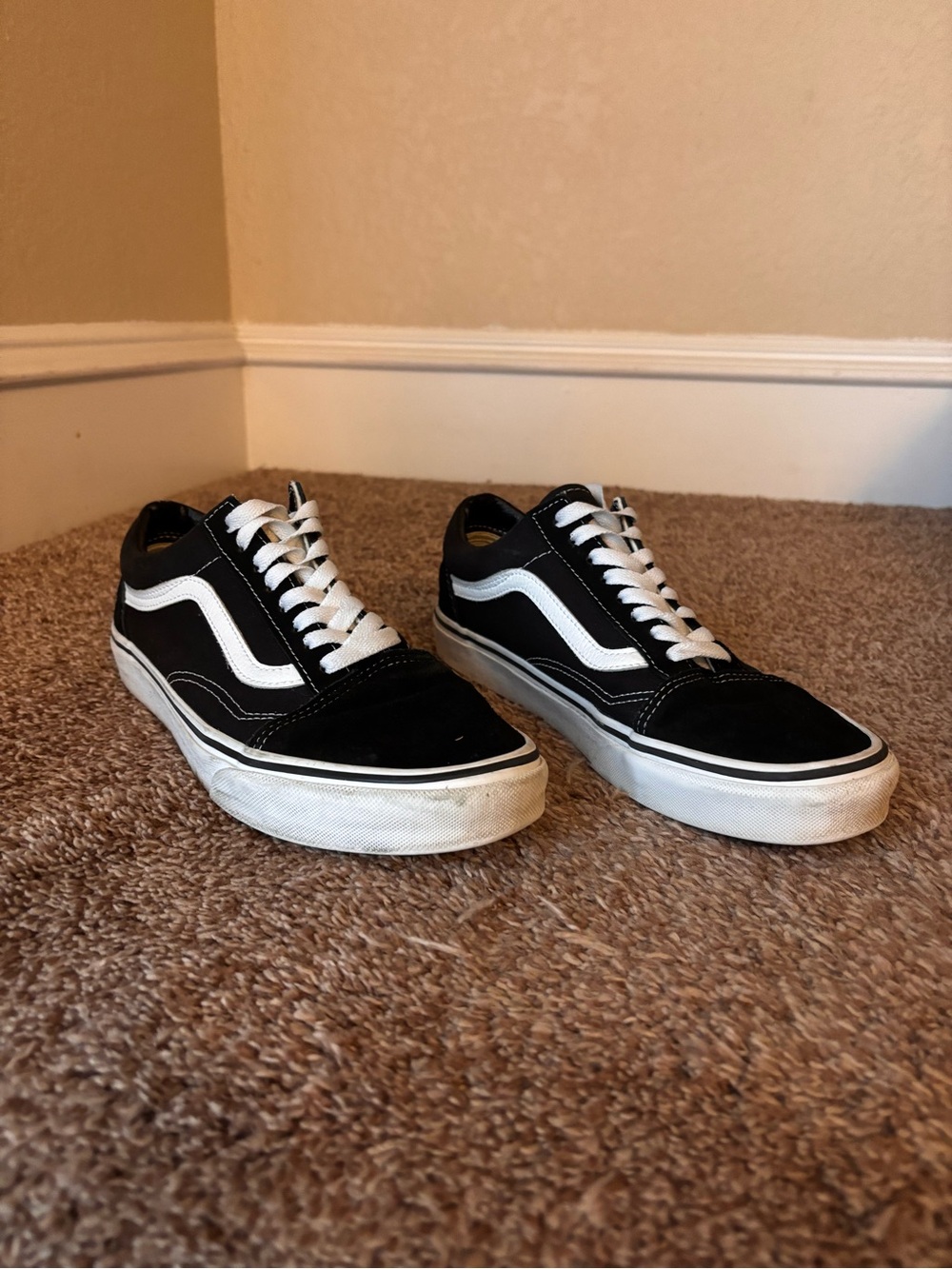 Vans Black & White Low-Top Skate Sneakers